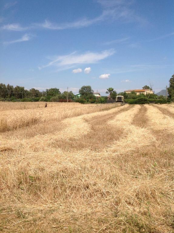 Agriturismo Il Paradiso Iglesias Buitenkant foto
