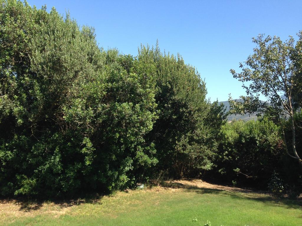 Agriturismo Il Paradiso Iglesias Buitenkant foto