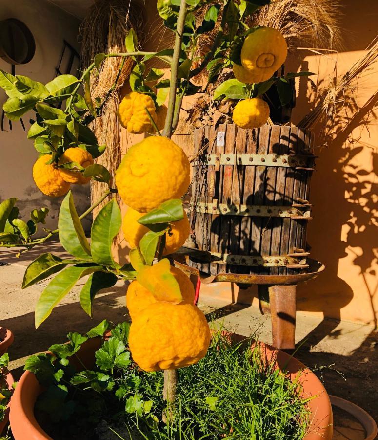 Agriturismo Il Paradiso Iglesias Buitenkant foto